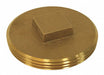 Cleanout Plug Brass 5 Raised Head