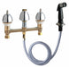 Kitchen Sink Faucet W/Spray