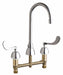 Gooseneck Chrome Chicago Faucets 786
