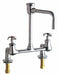 Laboratory Sink Faucet