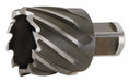 Annular Cutter 1.375in HSS