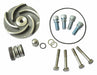 Pump Repair Kit For 2ZWT8