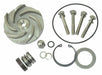 Pump Repair Kit For 2ZWY9A