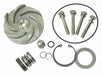 Pump Repair Kit For 2ZWZ1A