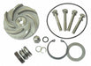 Pump Repair Kit For 2ZWZ2A