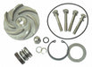 Pump Repair Kit For 2ZWZ3A