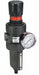 Filt-Reg 1/2 NPT 61 cfm 5 micron