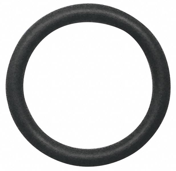 O-Ring Fits Purtest