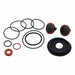 Backflow Preventer Repair Kit