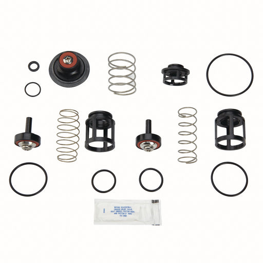 Reduced Pressure Zone Total Repair Kit