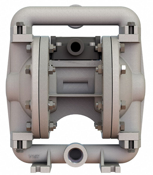 DblDiaphPmp FNPT PTFE/SSteel 3/8in 12gpm