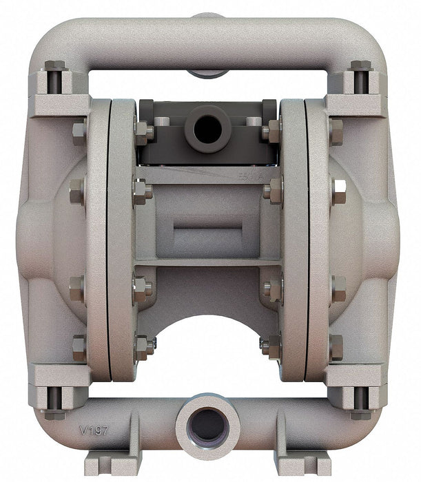 DblDiaphPmp FNPT PTFE/SSteel 3/8in 12gpm