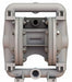 DblDiaphPmp FNPT PTFE/SSteel 3/8in 12gpm