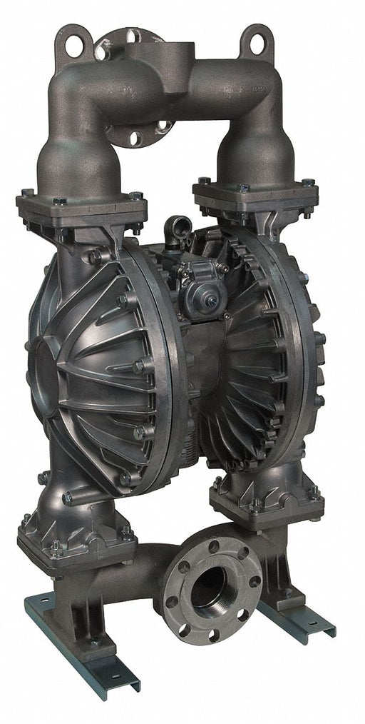 Dbl DphrmPmp NPT/Flange TPV 3/4in 215gpm