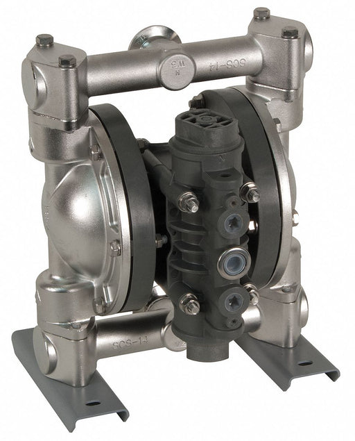 DblDiaphPmp FNPT Hytrel/SStl 1/4 32gpm