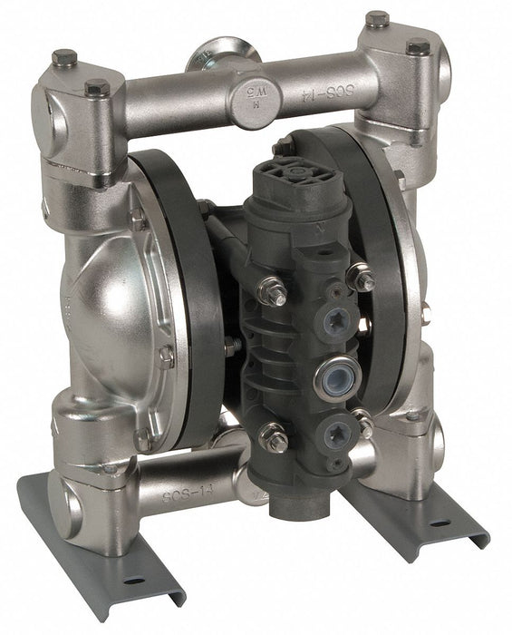 DblDiaphPmp FNPT Hytrel/SStl 1/4 32gpm