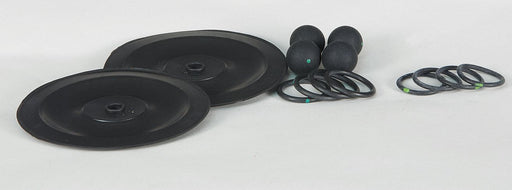 Pump Repair Kit TPV For 22A597 3HJW7