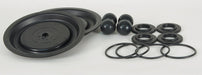 Pump Repair Kit TPV For 22A598 34TJ44