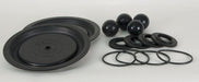 Pump Repair Kit TPV For 22A599 34TJ46