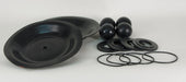 Pump Repair Kit Buna-N For 22A595