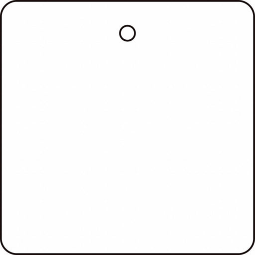 Blank Tag 2 x 2In White PK10