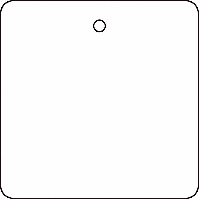 Tag White Plastic 2inH 2inW PK10
