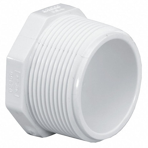 Hex Head Plug 2 in Schedule 40 MNPT