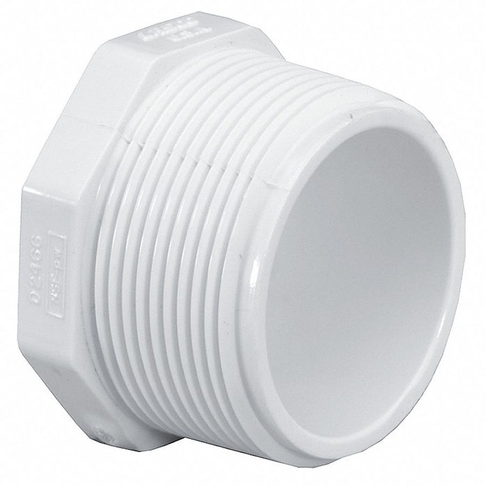 Hex Head Plug 2 in Schedule 40 MNPT