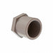 Plug 3/4 in Schedule 40 White 480 PSI