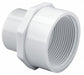 PVC Straight 3/4 in 1 in NPT