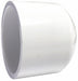 Cap 8 in Schedule 40 Socket White
