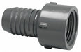 PVC Straight 3/4 in 3/4 in NPT