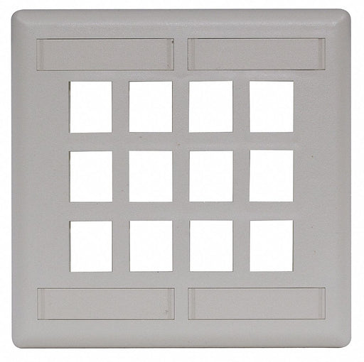 Plate 12 Ports Office White Flush