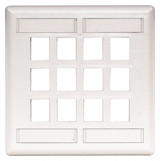 Plate 12 Ports White Flush