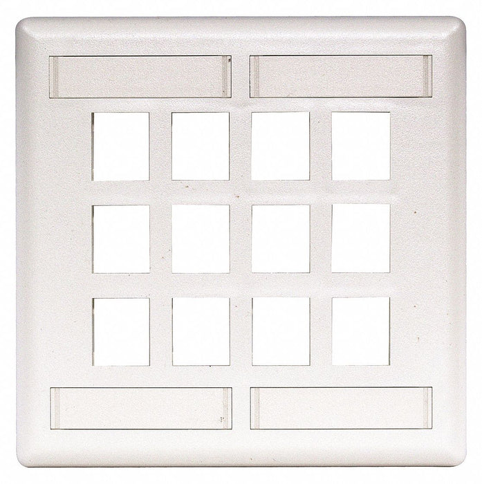Plate 12 Ports White Flush