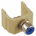 Keystone Jack 1 in H Ivory