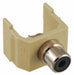Connector RCA Duplex Ivory