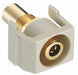 Keystone Jack 0.875 in H Ivory
