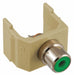 Keystone Jack 0.8125 in H Ivory