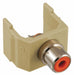 Keystone Jack 0.8125 in H Ivory