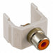 Keystone Jack 0.8125 in H Off-White