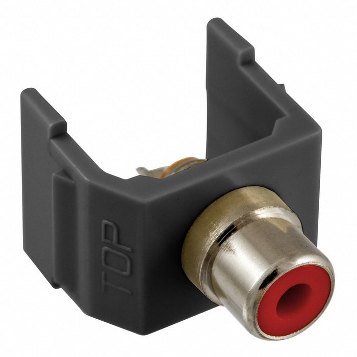 Keystone Jack 0.8125 in H Black