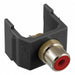 Keystone Jack 0.8125 in H Black