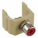 Connector RCA Duplex Ivory
