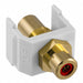 Inline Coupler RCA Duplex White