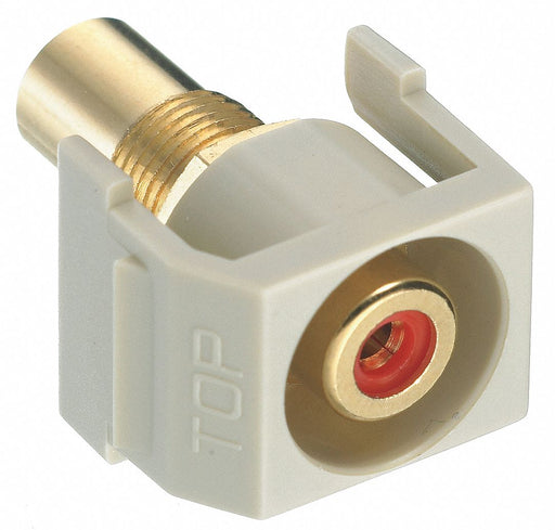 Keystone Jack 0.875 in H Ivory