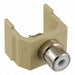 Keystone Jack 0.8125 in H Ivory