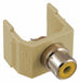 Keystone Jack 0.8125 in H Ivory