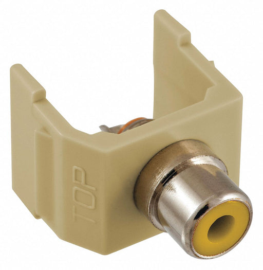 Connector RCA Duplex Ivory