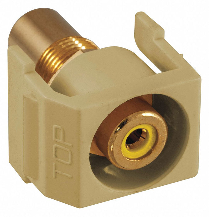 Keystone Jack 0.875 in H Ivory